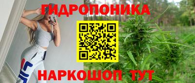 хмурый Шебекино