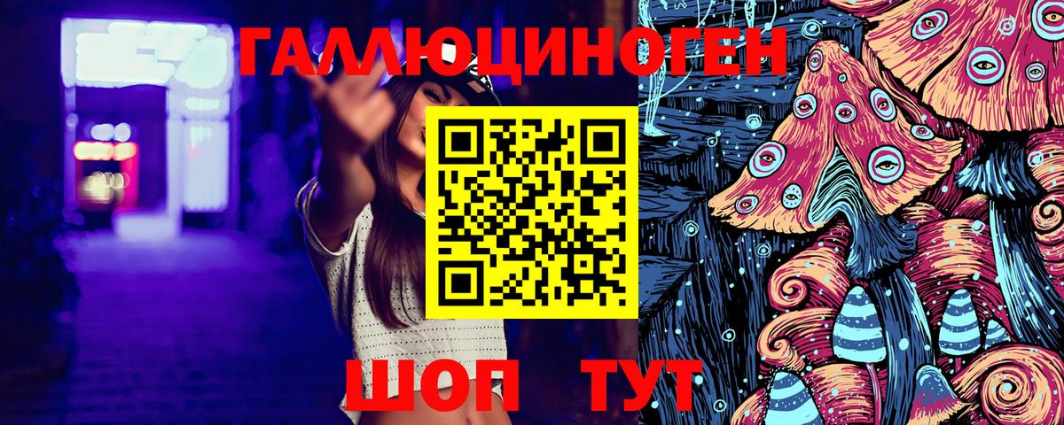 Галлюциногенные грибы Psilocybine cubensis Полысаево