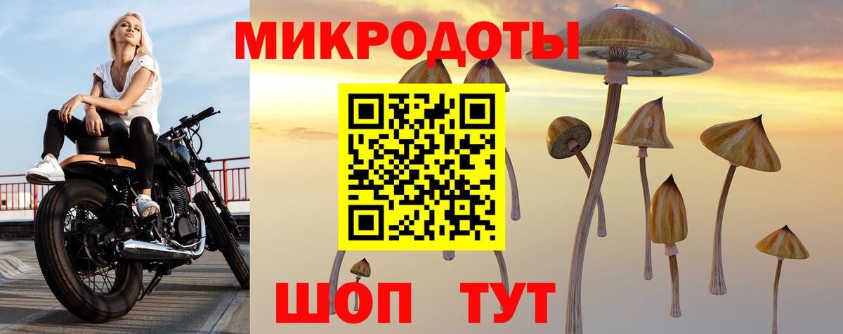 Полысаево  Галлюциногенные грибы Magic Shrooms  Вход с VPN  Галлюциногенные грибы MAGIC MUSHROOMS 